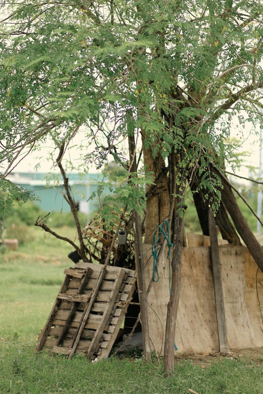 brown wooden bench beside tree