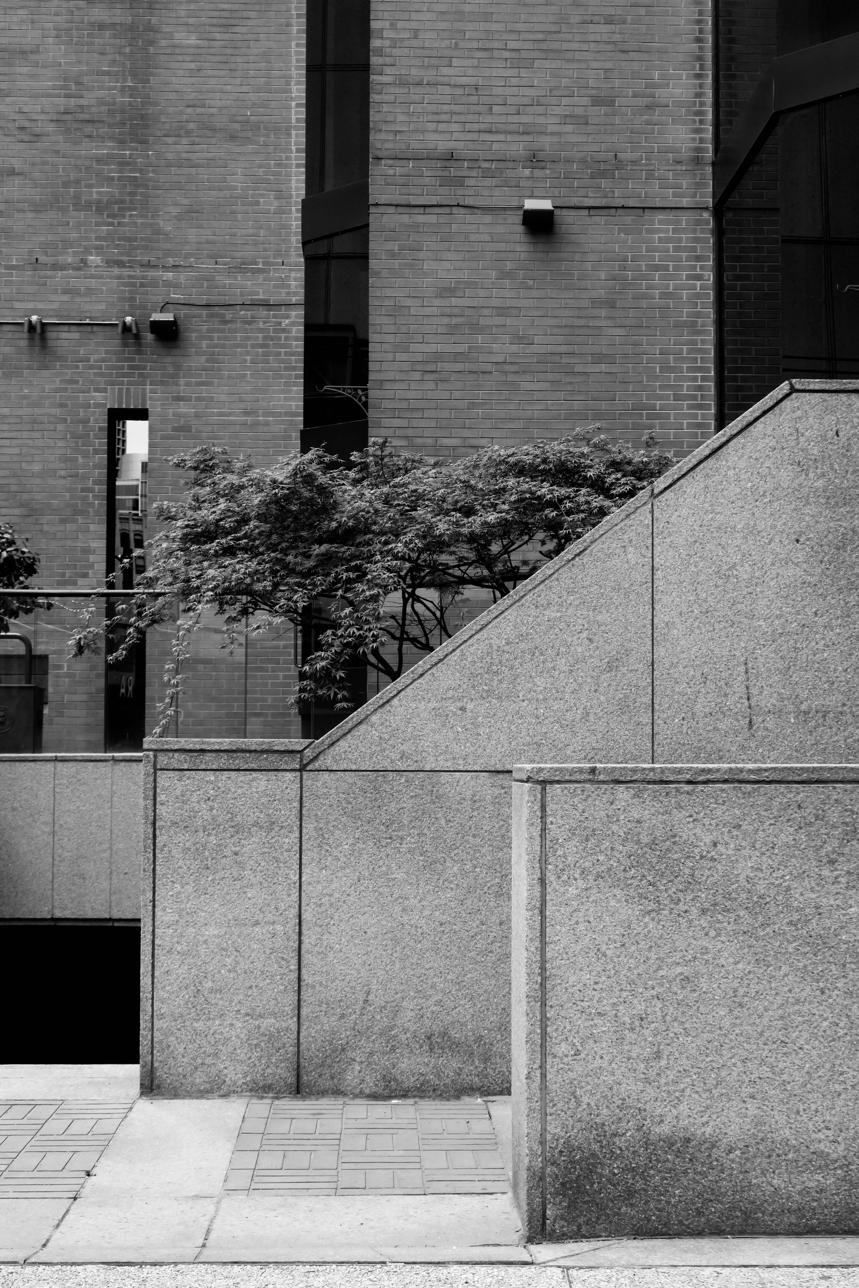 Photo by liamdawsonphoto