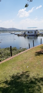 A serene lakeside scene features a grassy shoreline with a brown brick border. In the water, boats are moored, including a prominent white houseboat with a blue canopy. Ducks are swimming nearby, and in the distance, hills and scattered clouds add to the calm ambiance.