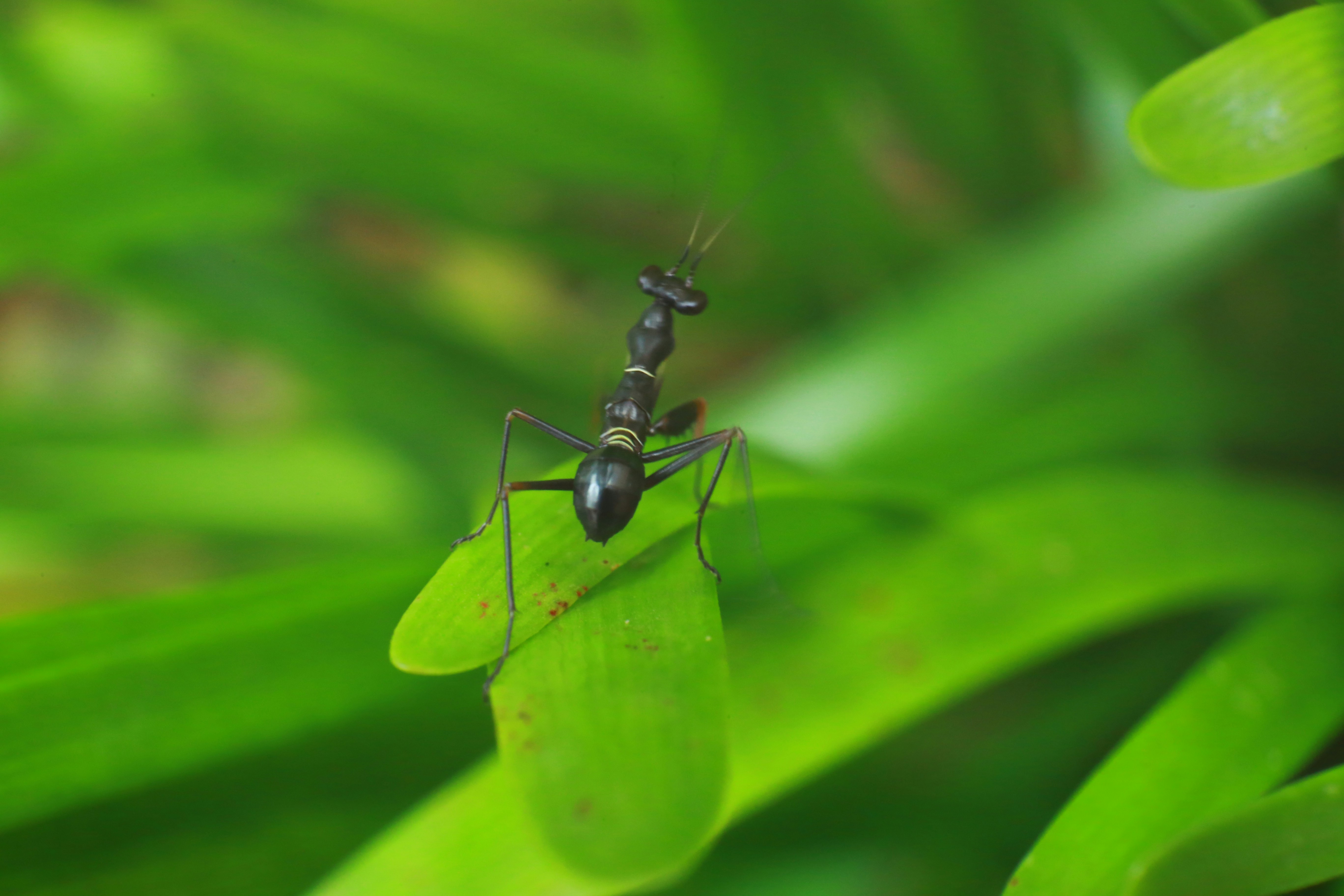 Photo by wilsanphotography