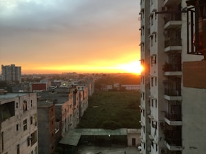 City skyline blending urban and natural elements at sunset.