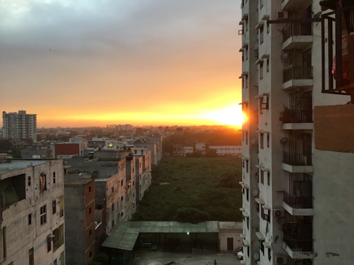 A vibrant city skyline at sunset blending into a serene herbal garden.