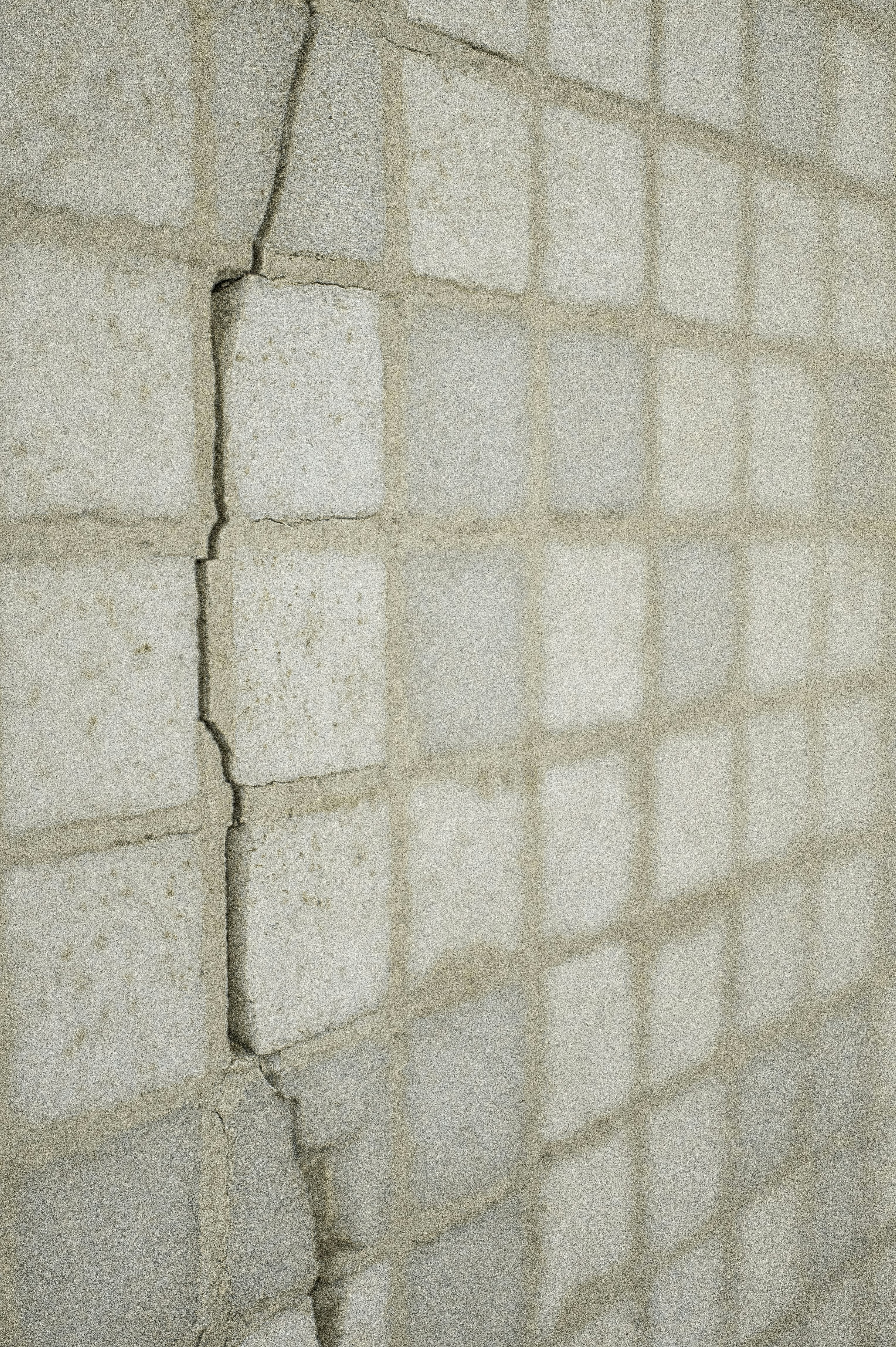 Photo by thomaskinto