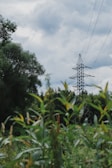 A metal electricity pylon stands amidst greenery, with tall grasses in the foreground and trees in the background. The sky overhead is cloudy, creating a contrast with the lush vegetation.