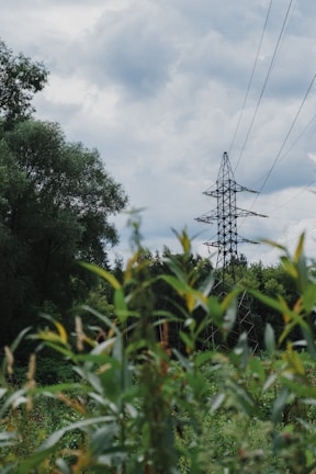 A metal electricity pylon stands amidst greenery, with tall grasses in the foreground and trees in the background. The sky overhead is cloudy, creating a contrast with the lush vegetation.