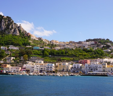 city buildings near body of water during daytime