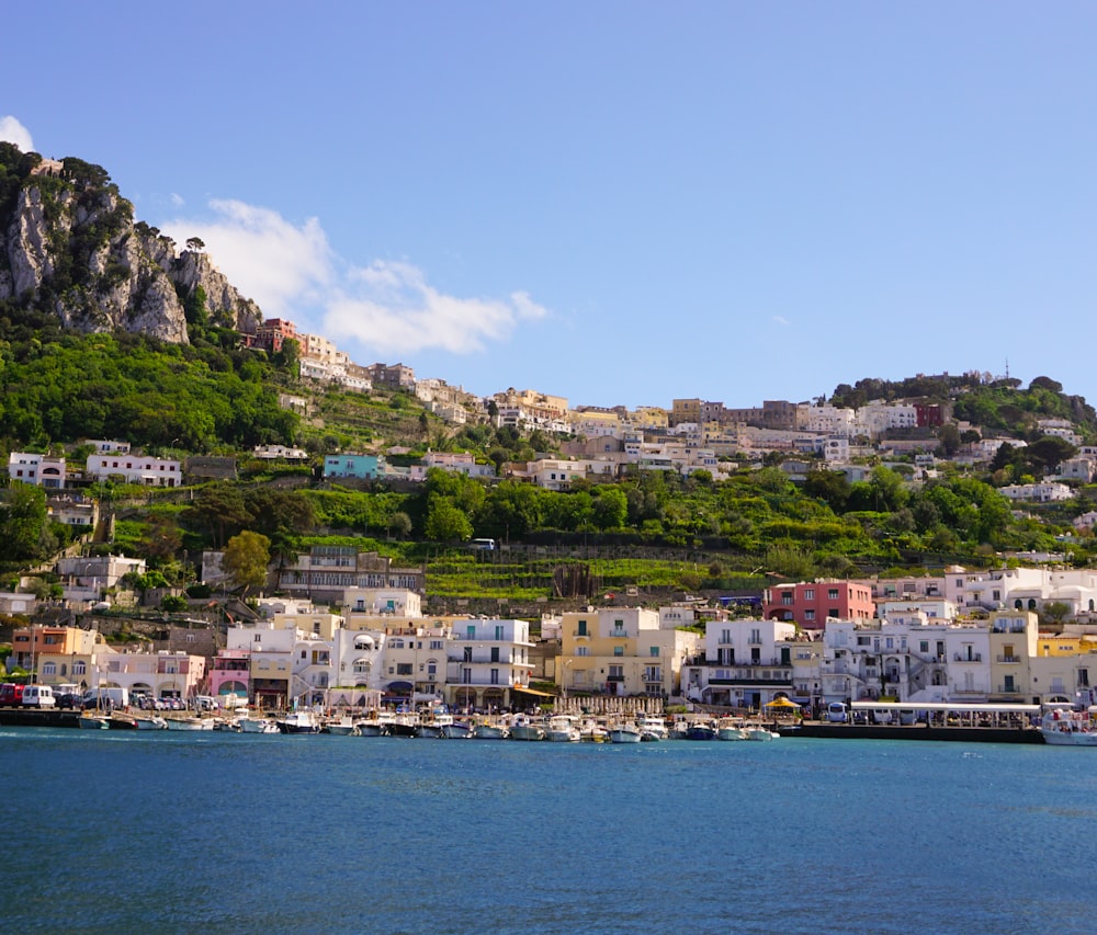 city buildings near body of water during daytime