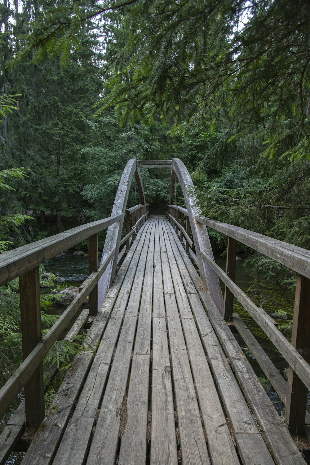 Braune Holzbrücke im Wald tagsüber