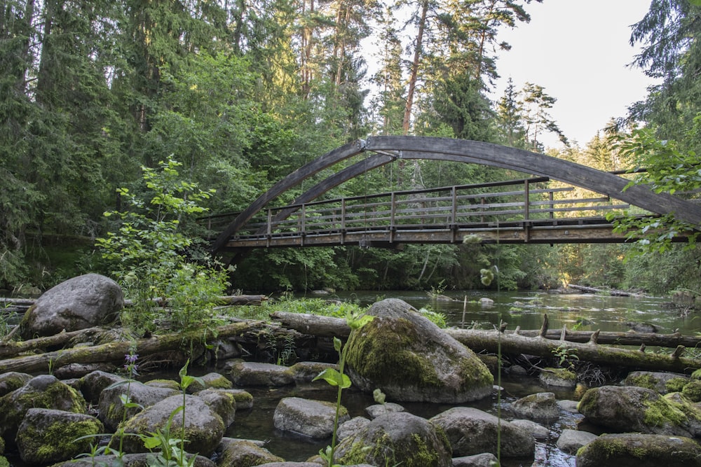 gray metal bridge over river