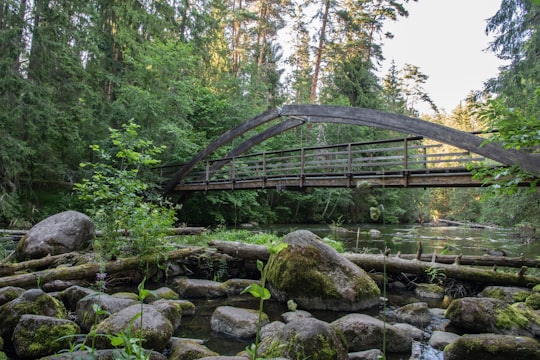 gray metal bridge over river in Taevaskoja Estonia