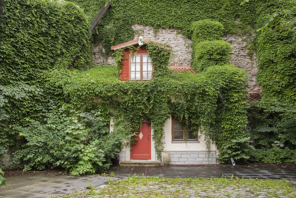 red and white wooden house