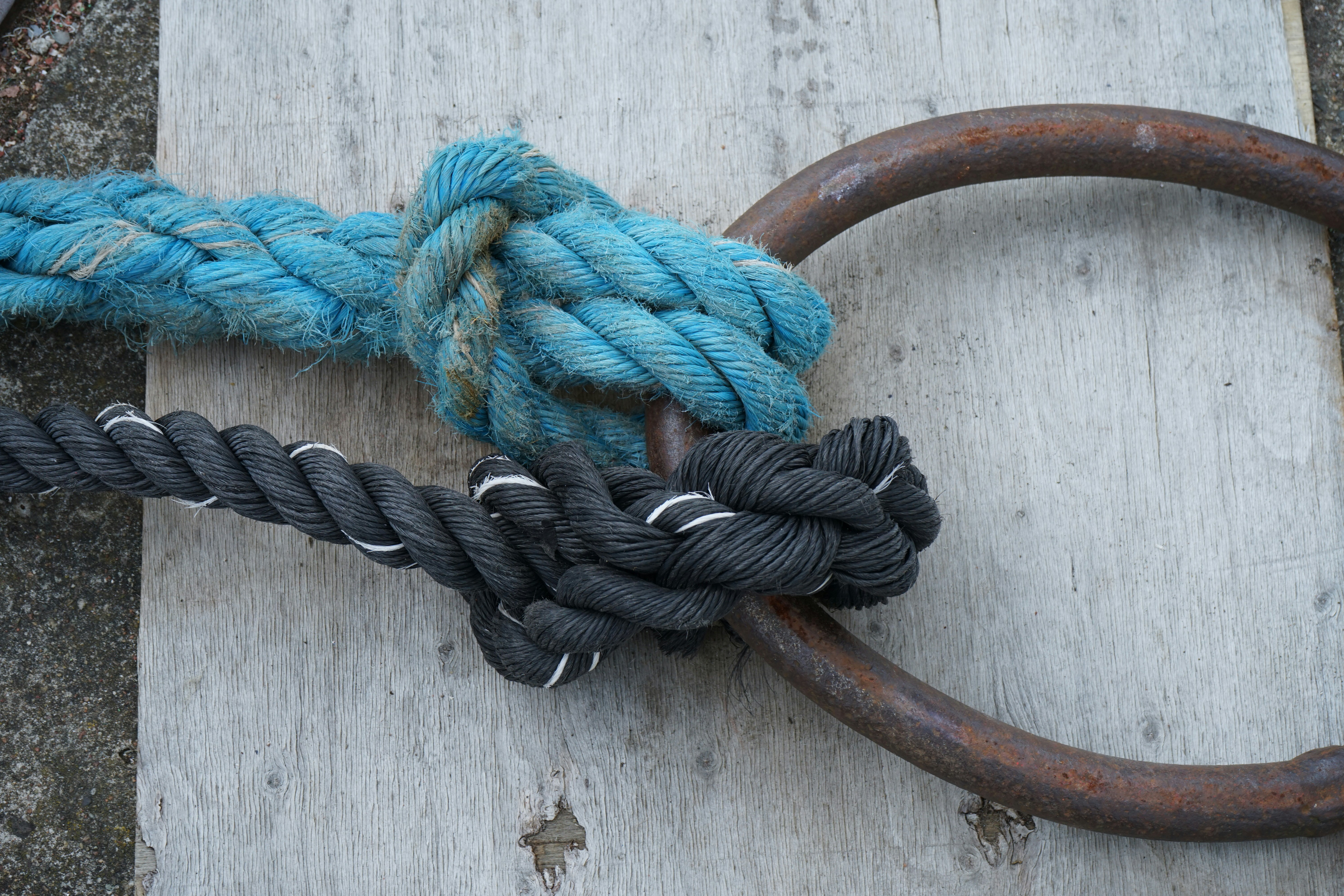 Hand-Spliced Rope Lead