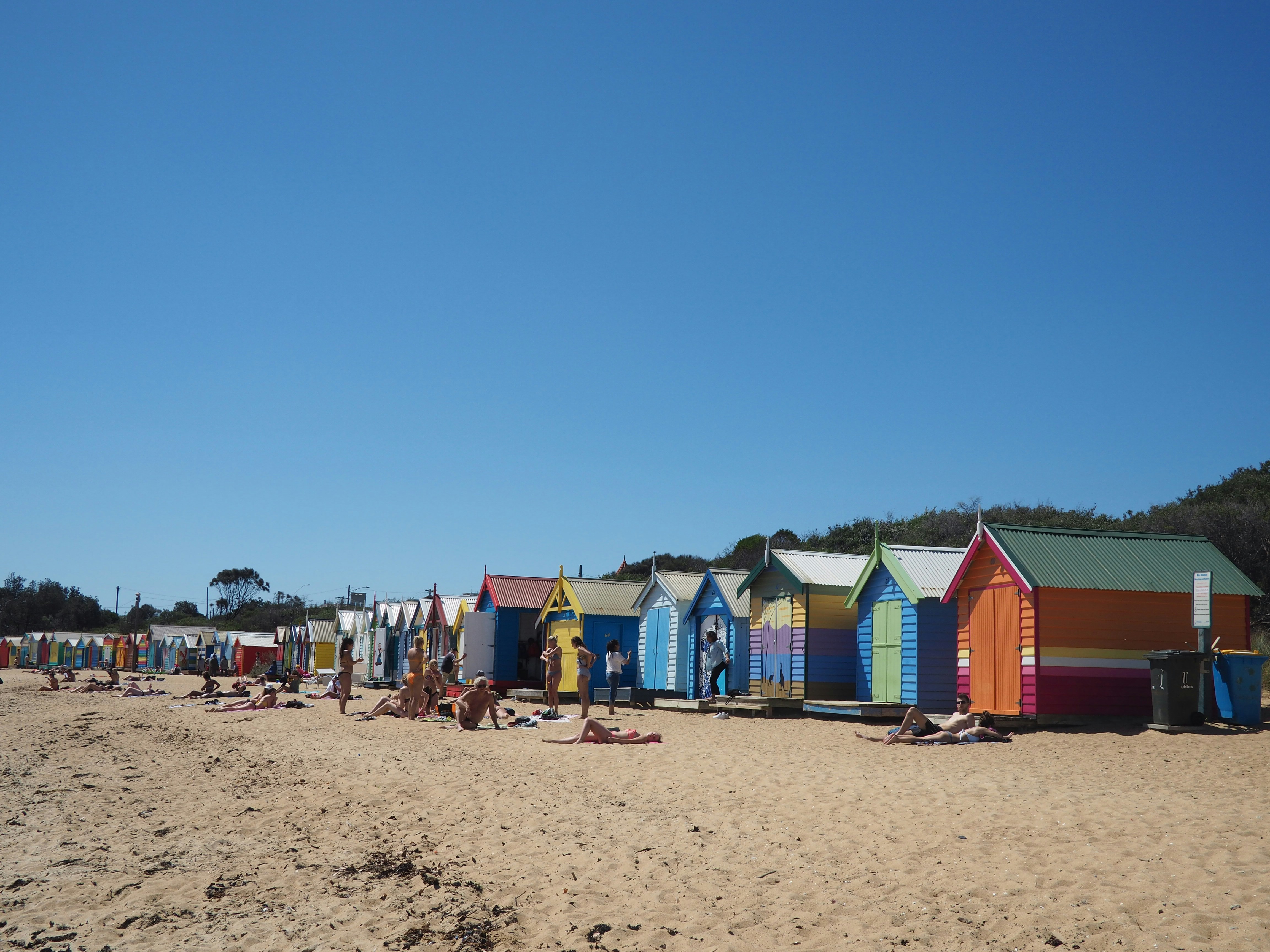 people on beach during daytime