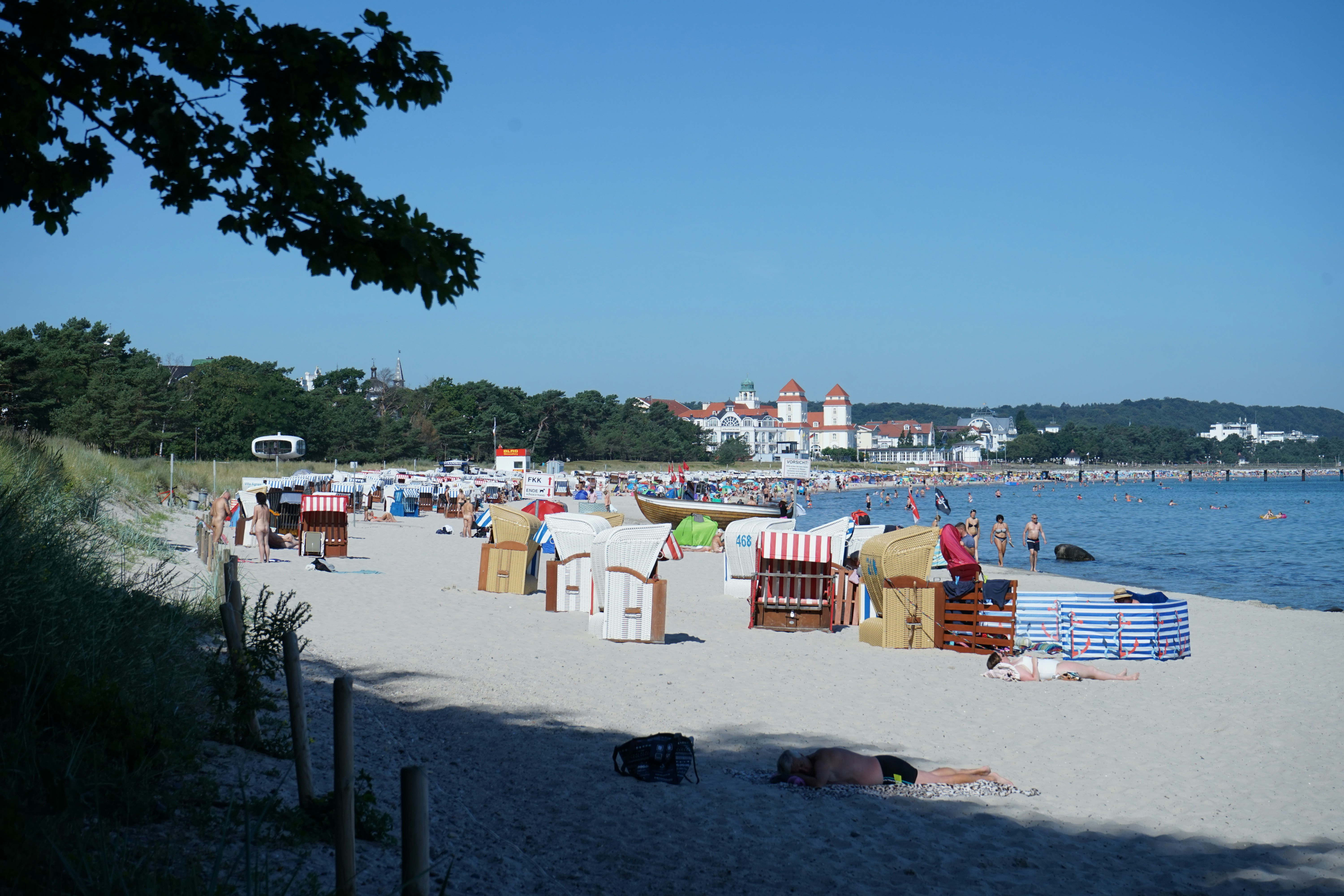 people on beach during daytime