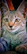 A close-up of a colorful, detailed cat painting resting on an easel.