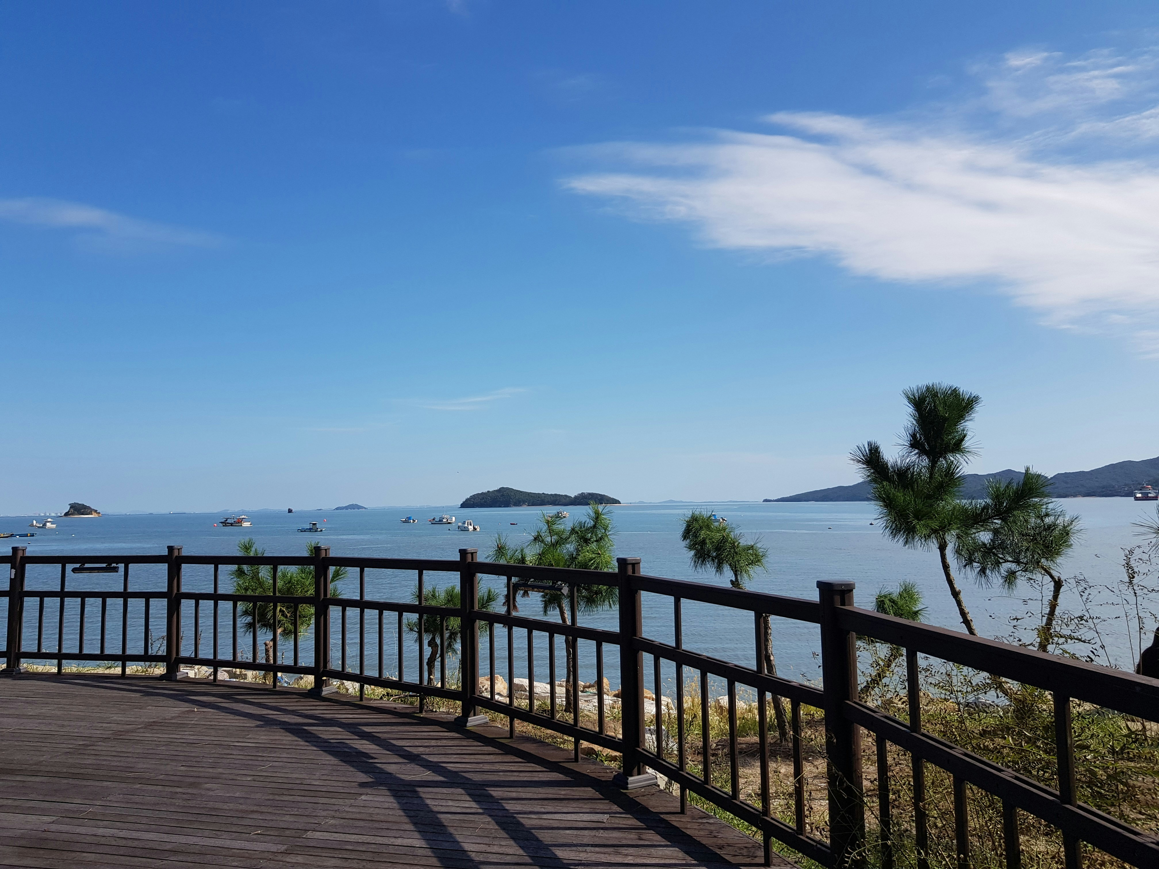 south korea zoom background