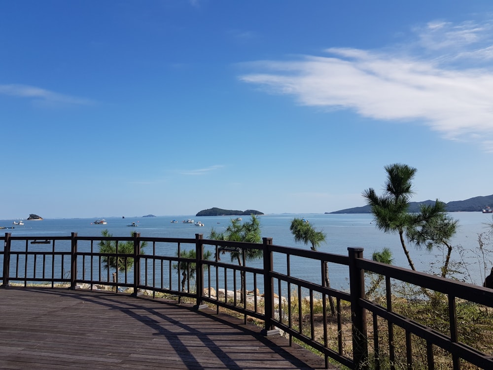 green palm tree near sea under blue sky during daytime