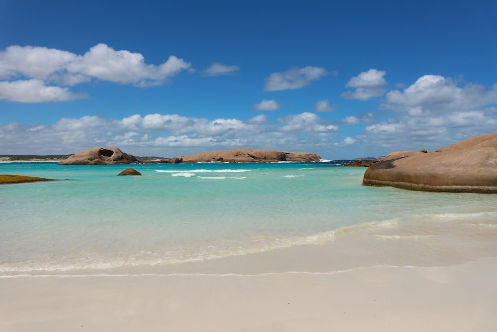 brown sand beach during daytime