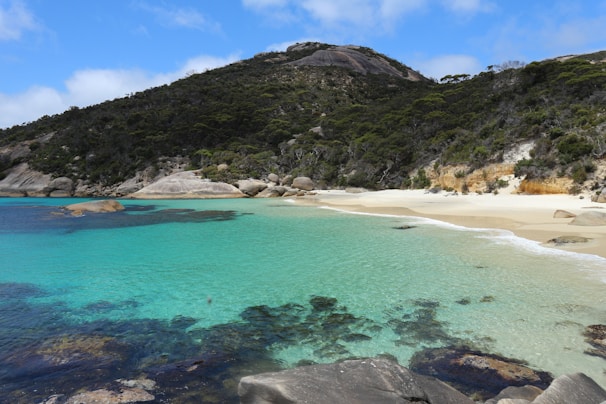 A serene turquoise beach at Havelock Island with gentle waves lapping the shore under a clear blue sky.