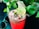 A refreshing pink drink in a clear glass filled with ice cubes and topped with chia seeds, garnished with a lime slice and mint leaves. The background is adorned with lush green plant leaves, adding a tropical feel, while a pair of sunglasses rests nearby.