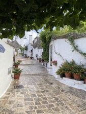 A picturesque stone-paved street lined with whitewashed buildings and adorned with vibrant flower pots. The narrow pathway is shaded by lush green vines, leading up to charming stone structures with conical roofs. The area has an idyllic and tranquil feel, enhanced by the greenery and traditional architecture.