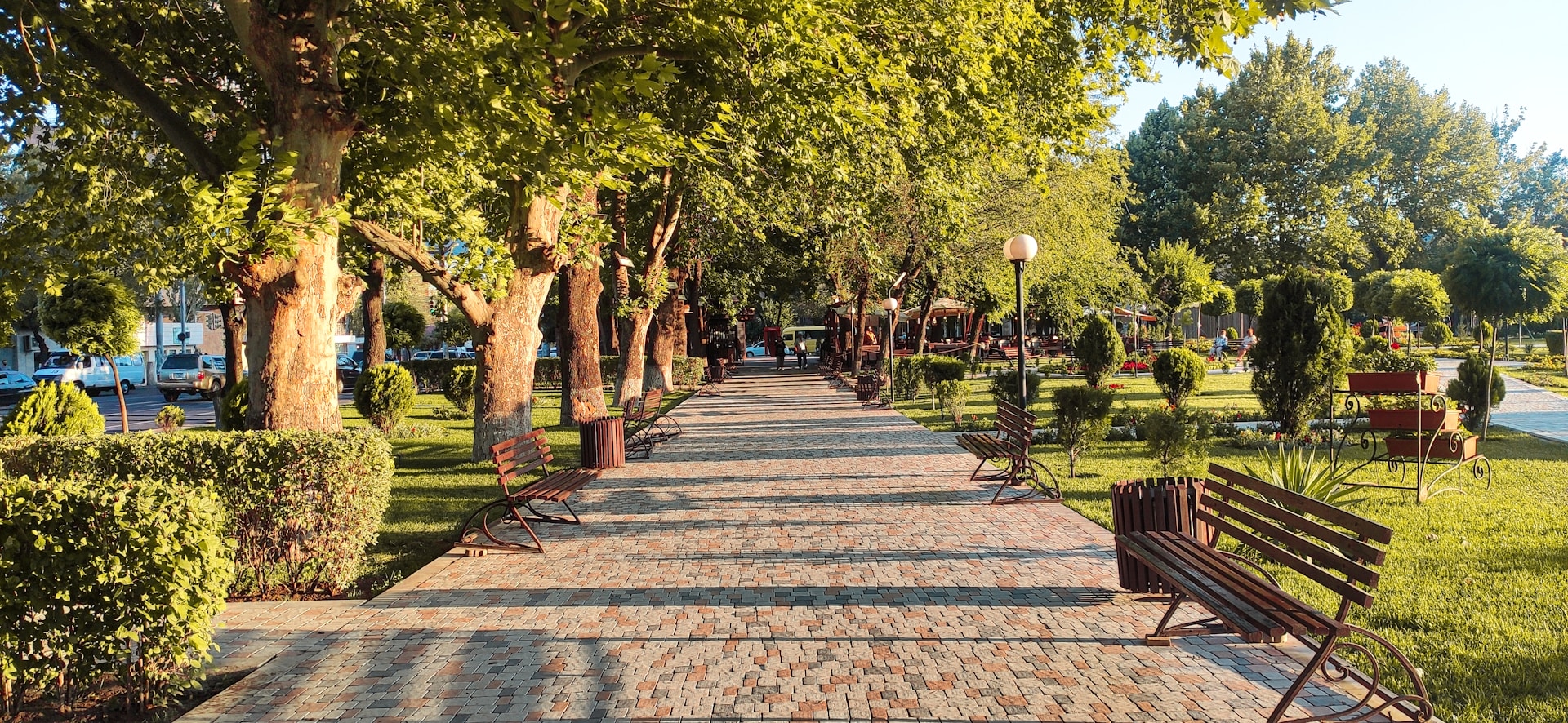 brown wooden bench on park during daytime
