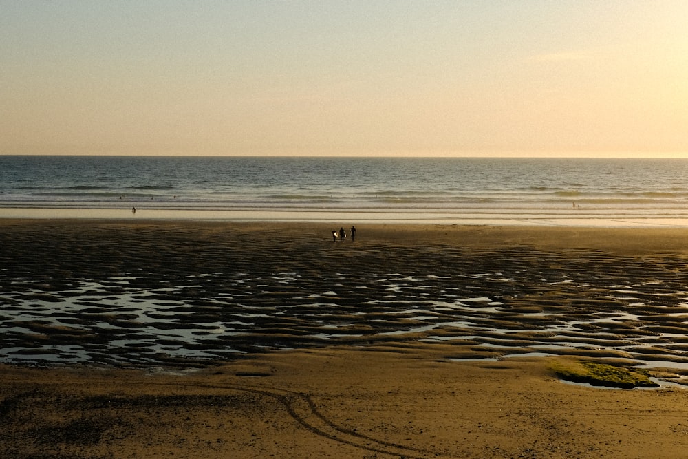 person walking on beach during daytime