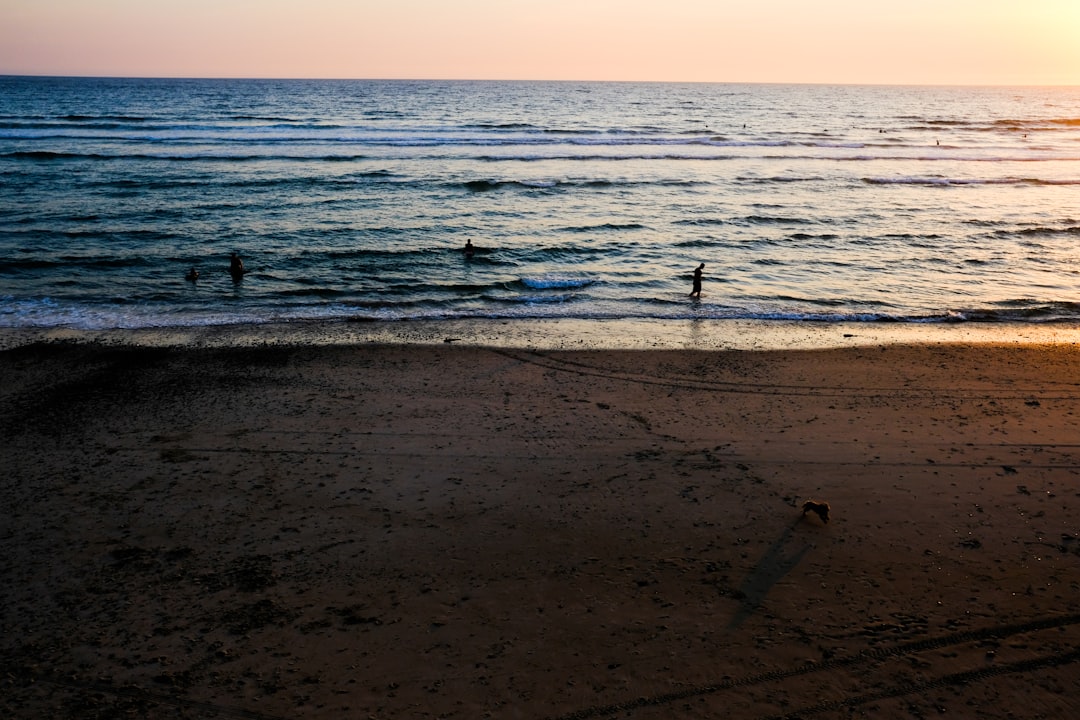 person walking on beach during daytime