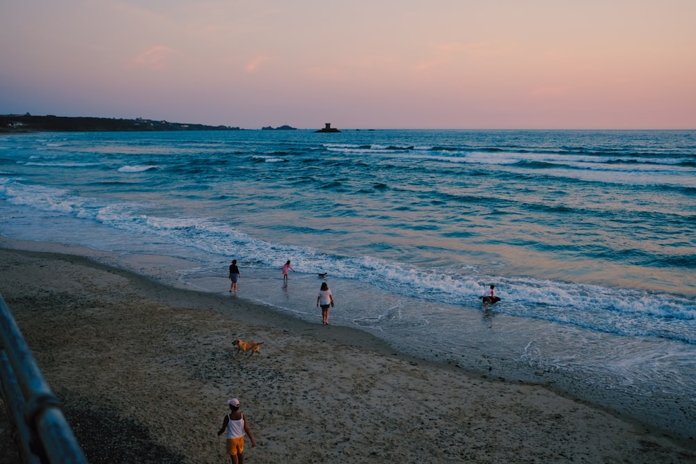 people on beach during daytime