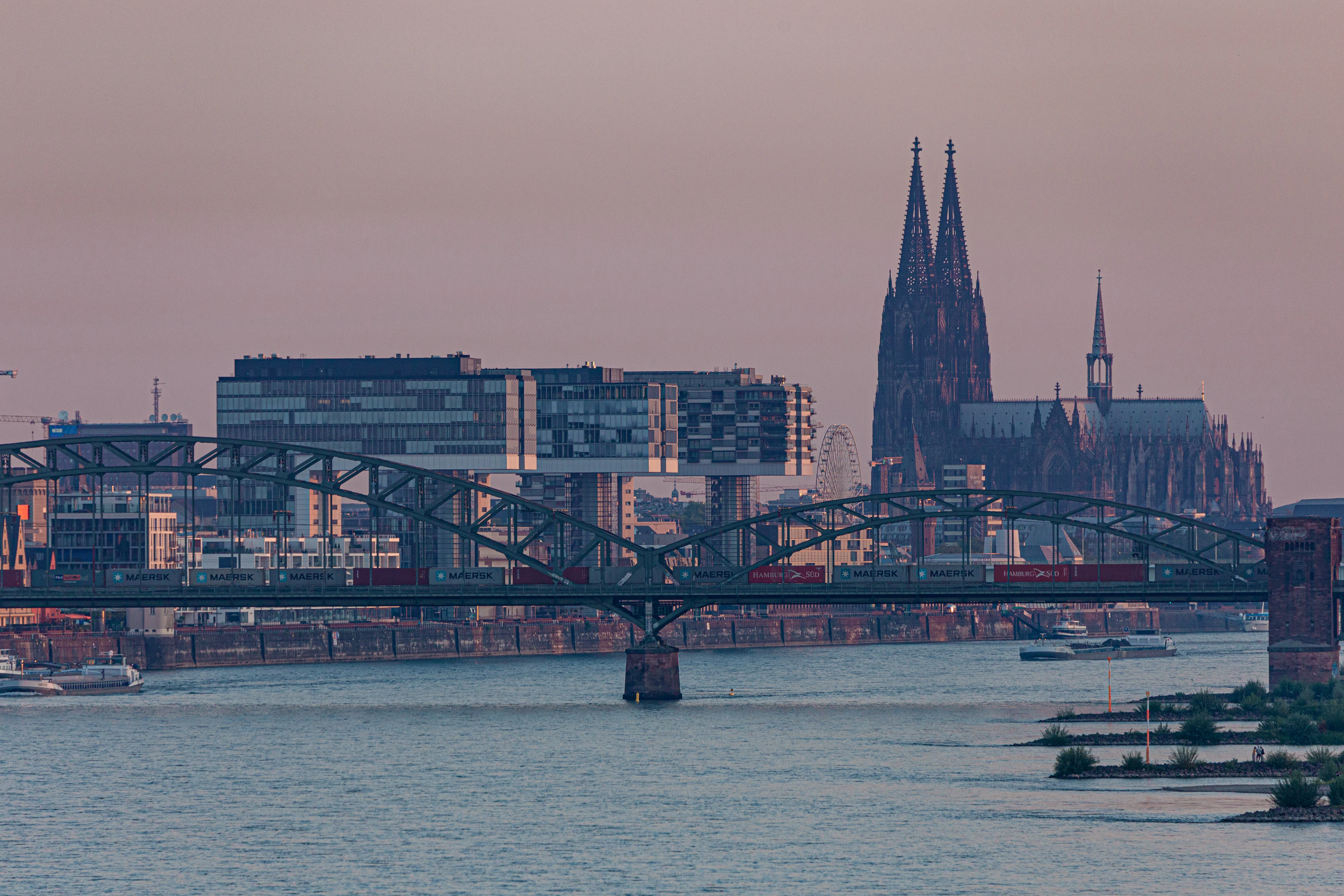 Cologne