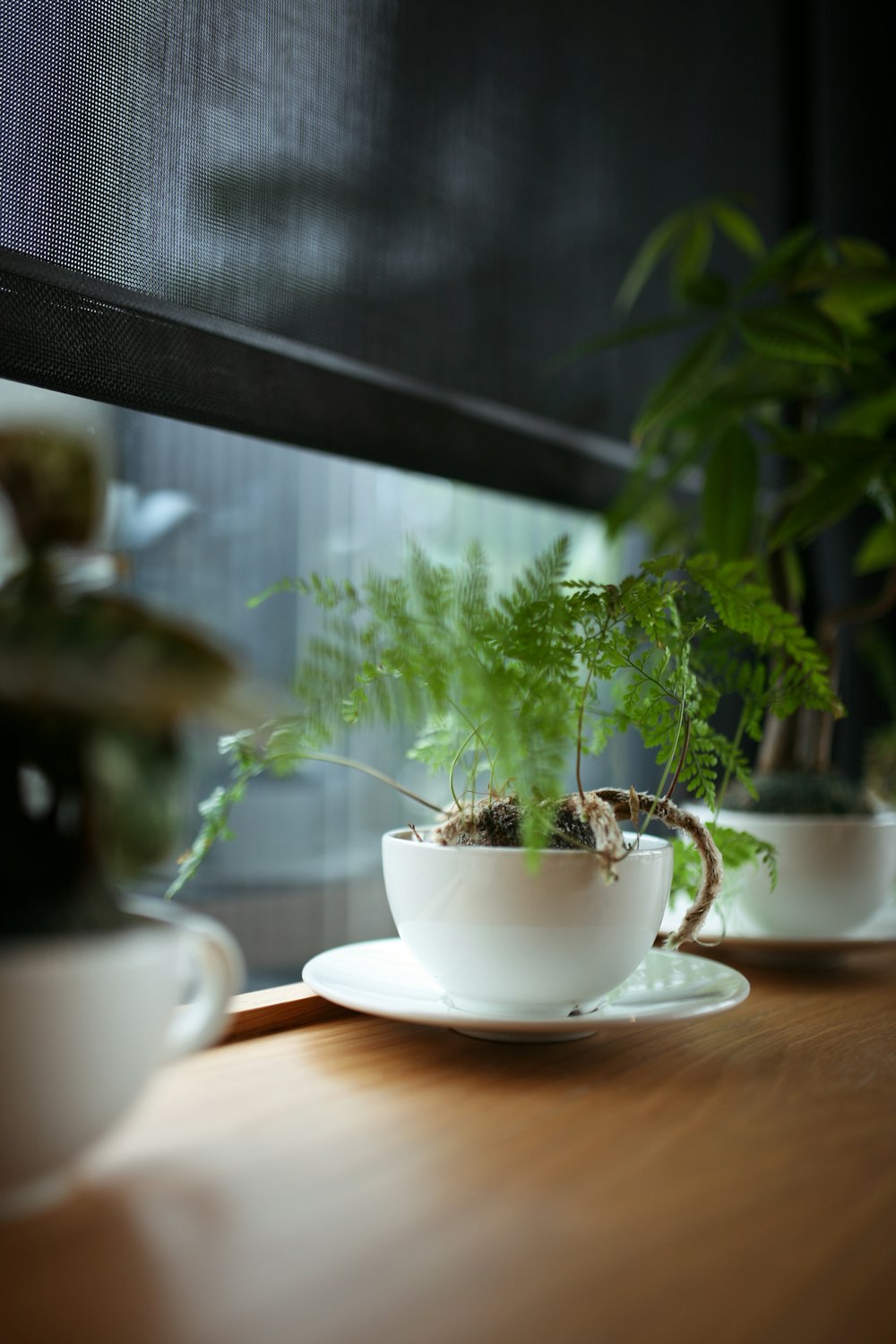 white ceramic teacup on white ceramic saucer