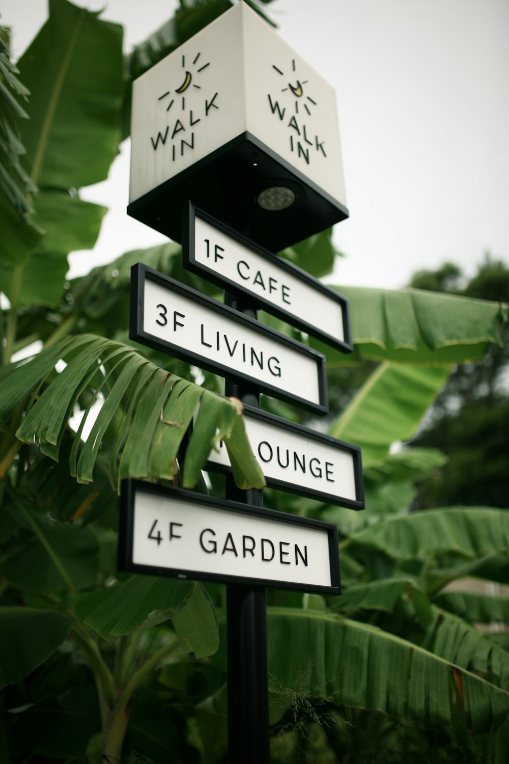 a green street sign sitting on the side of a pole