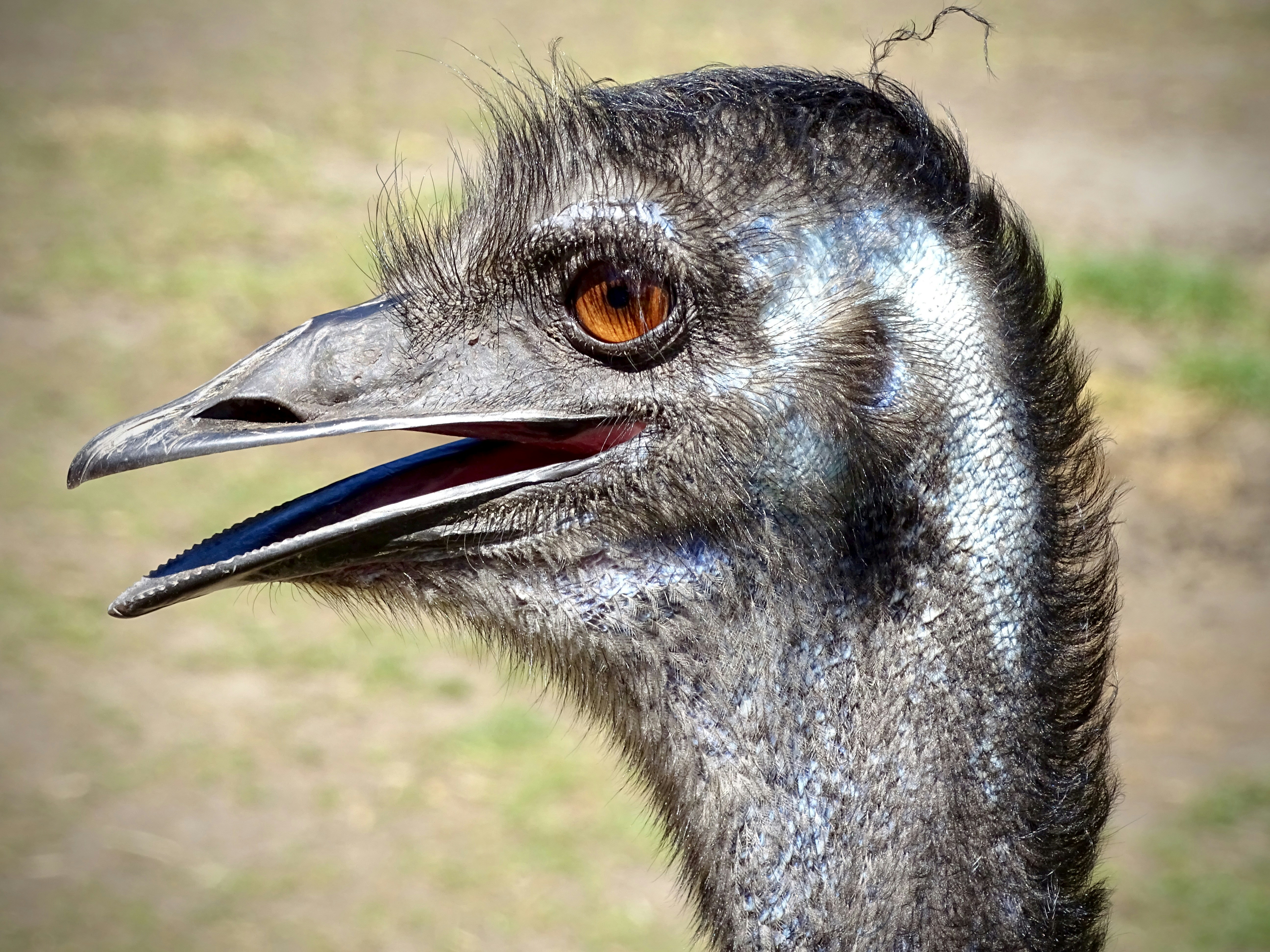 Photo by heracles1903