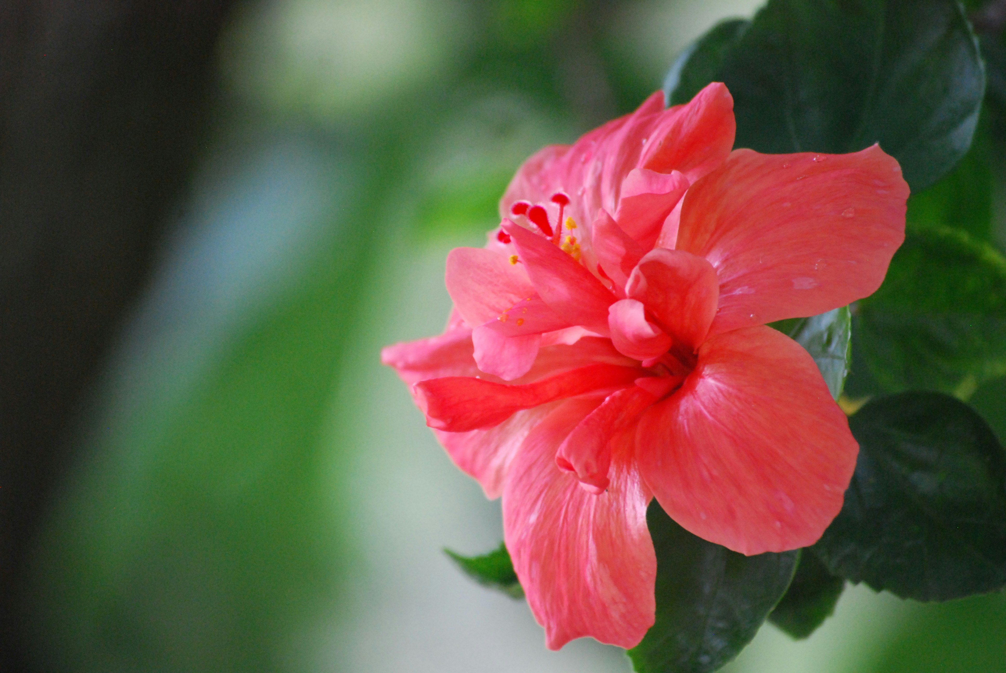 Photo by gnanaprakash