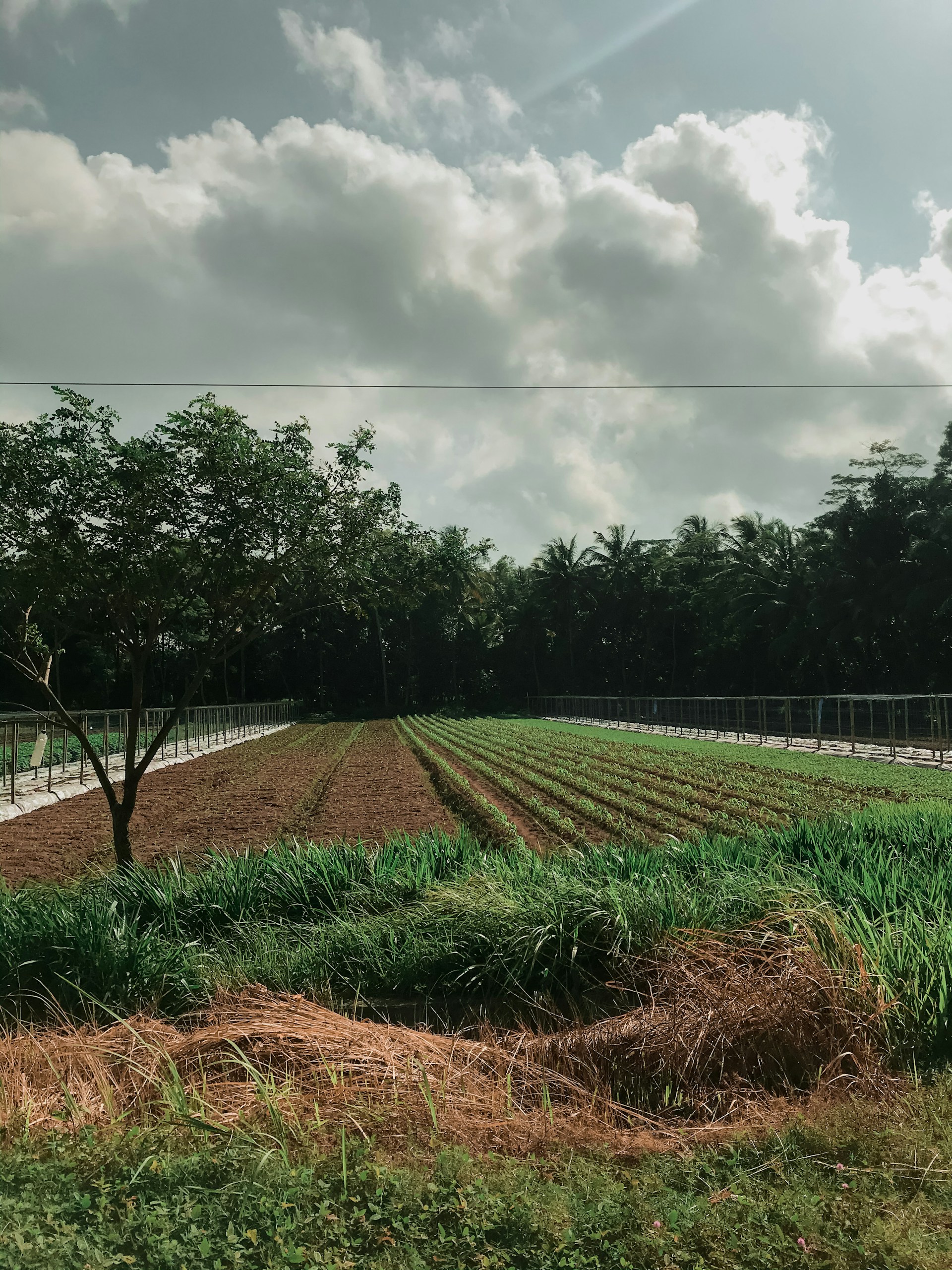 black and white bed linen
