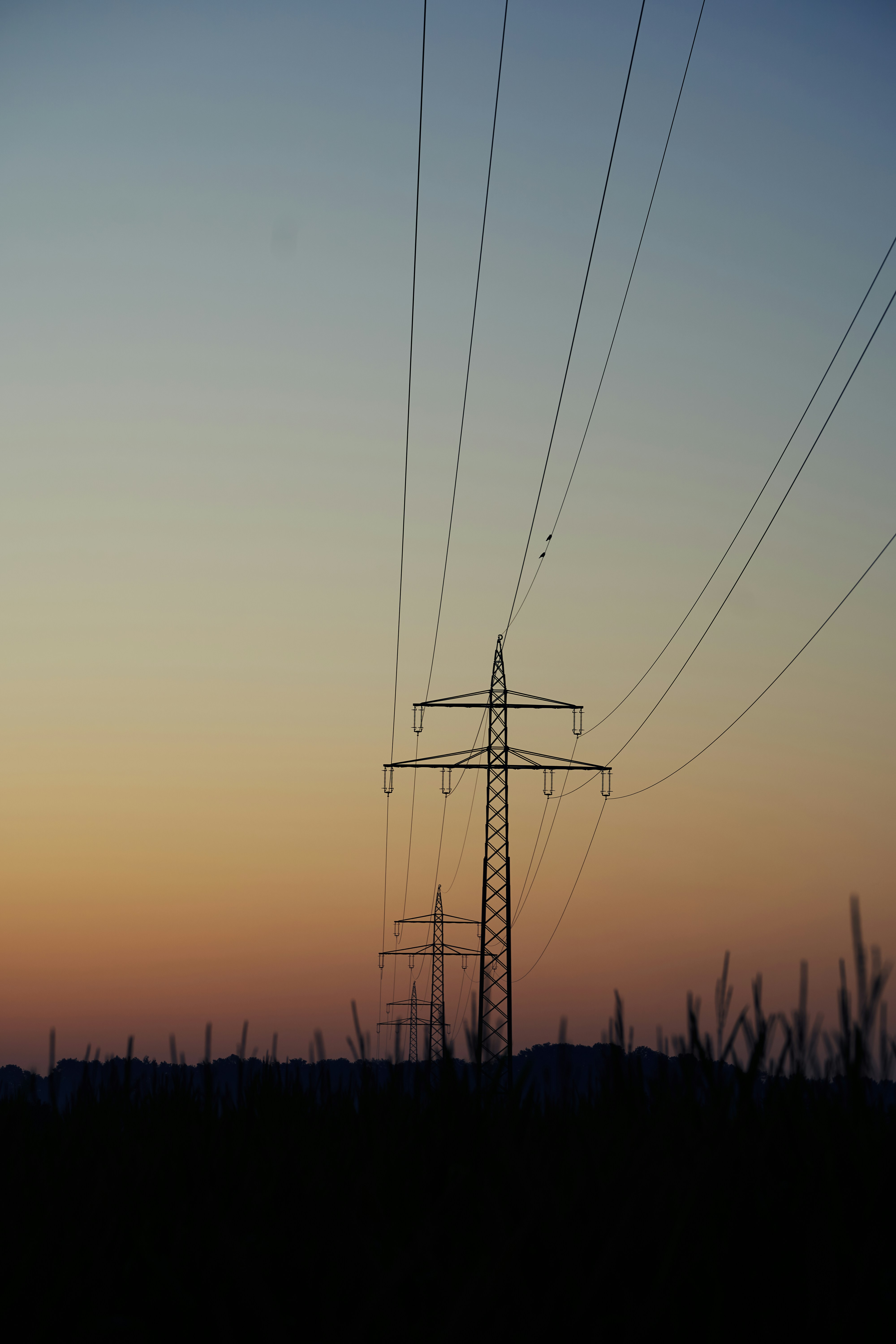 silhouette of electric post during sunset