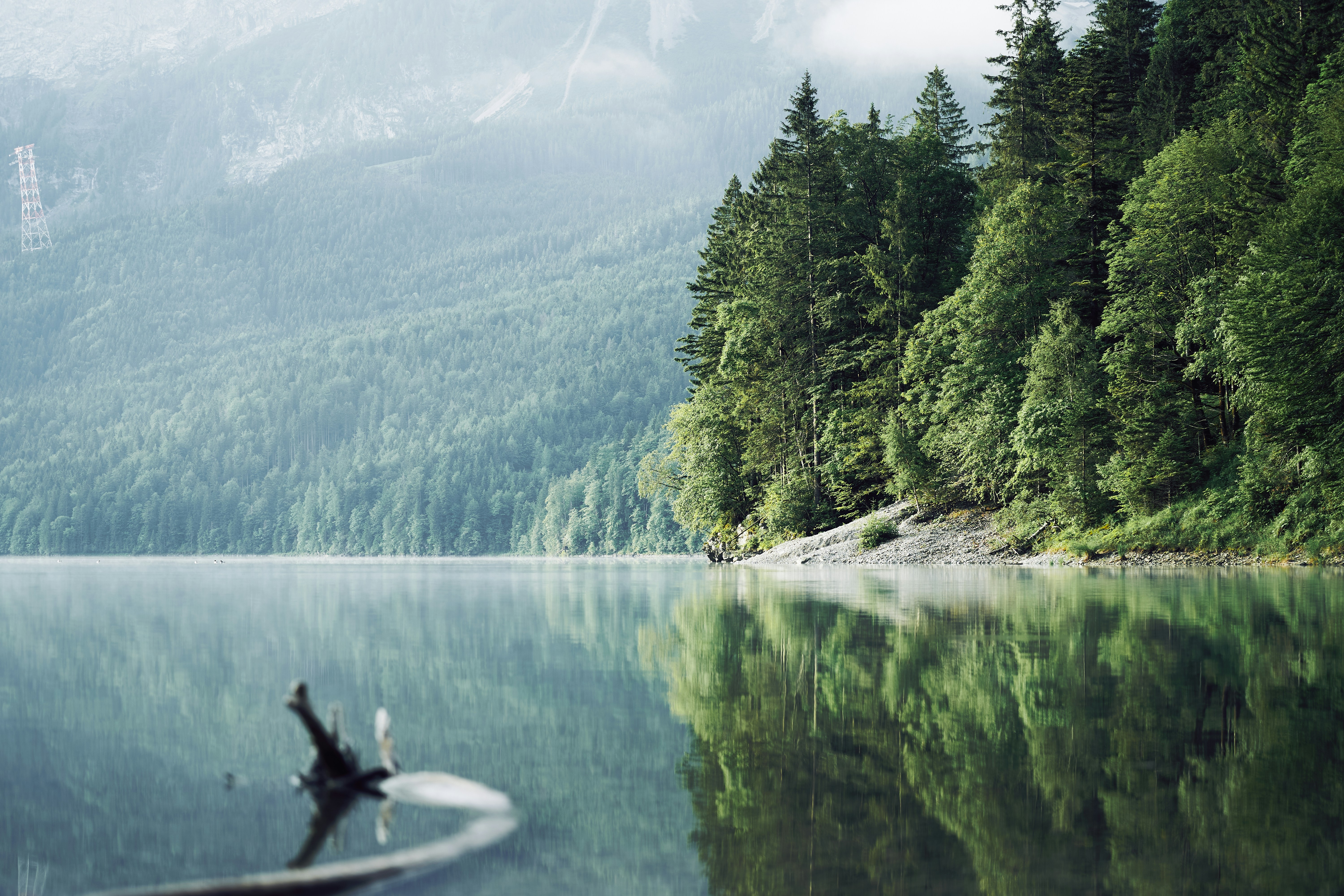 Photo by christianem