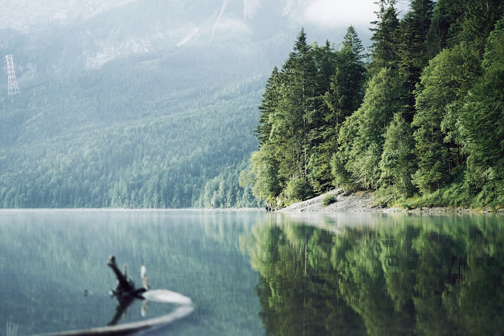 person riding on boat on lake during daytime