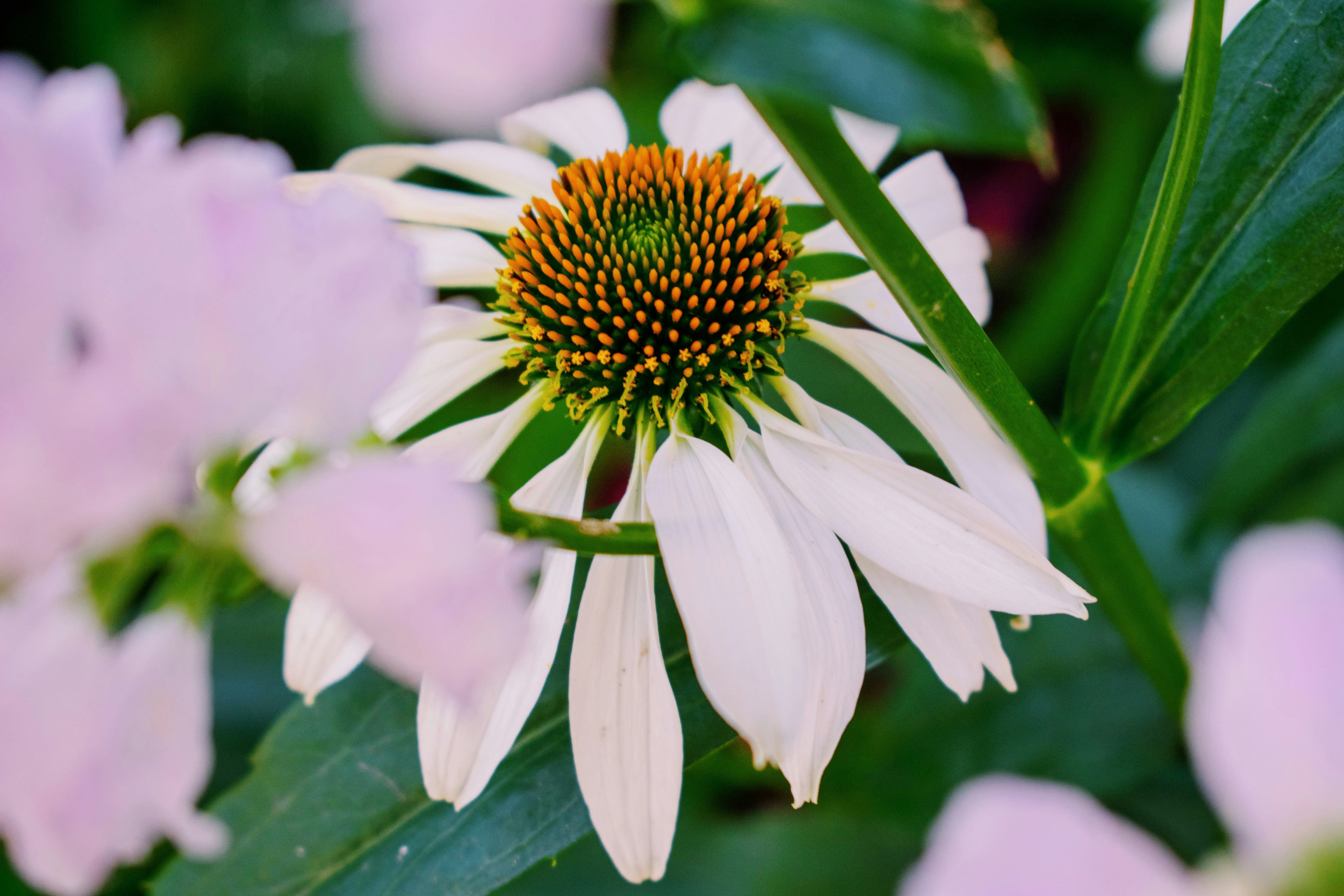 Photo by alexlowenthal