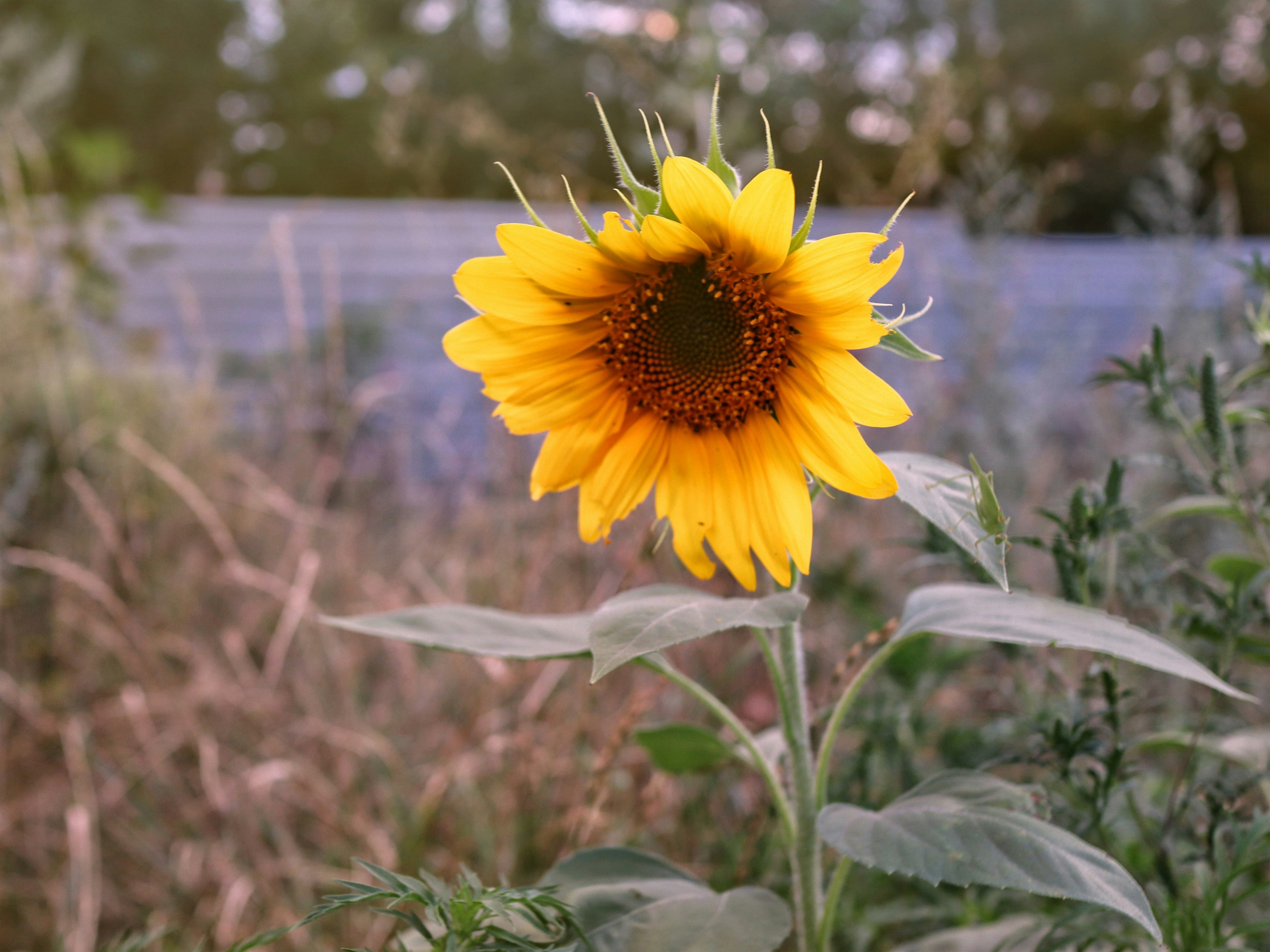 Photo by ignatkushanrev