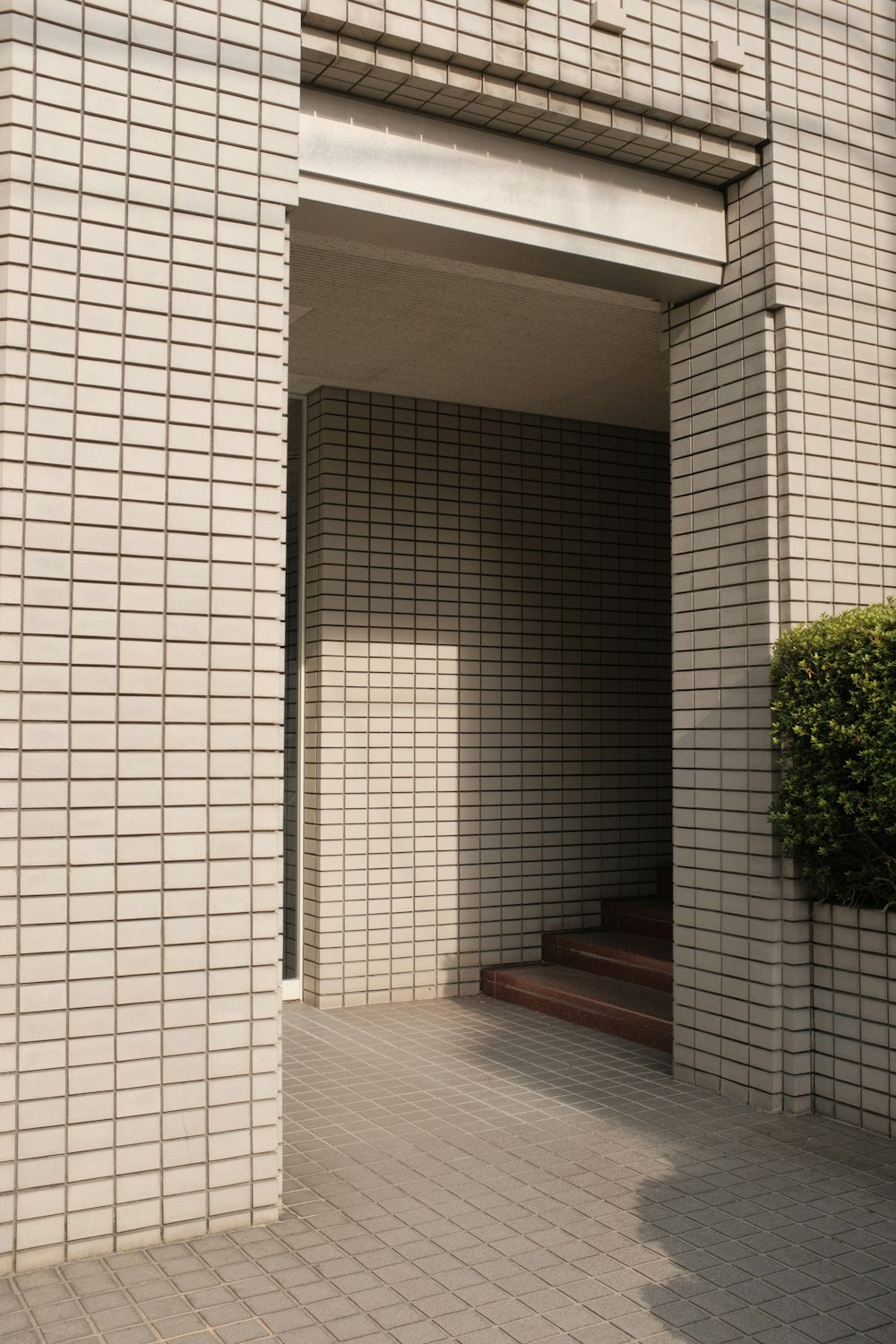 green plants beside white concrete building