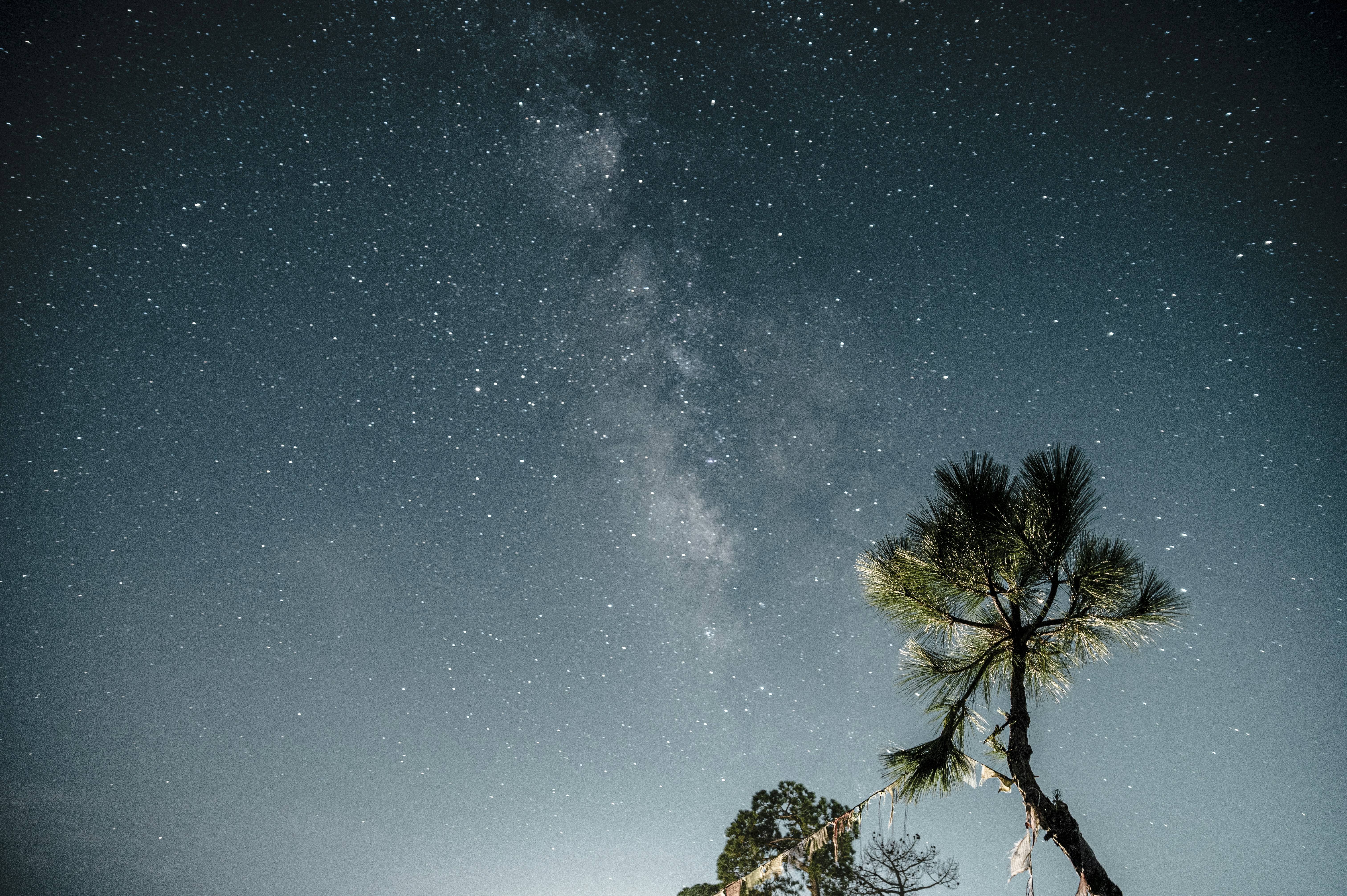 Photo by _mohitkhatri_