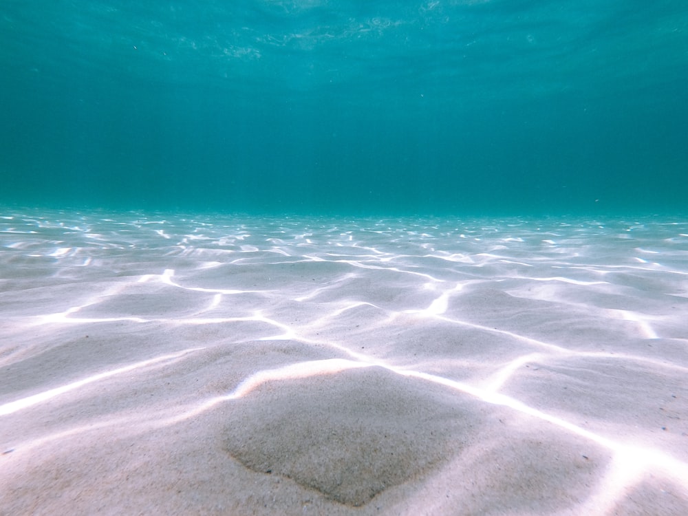 body of water during daytime