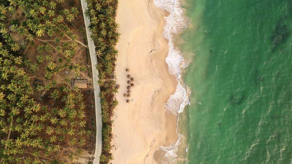 aerial view of beach during daytime