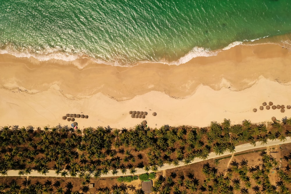 aerial view of beach during daytime