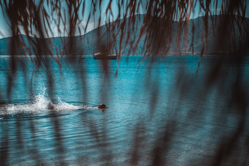 person swimming on body of water during daytime