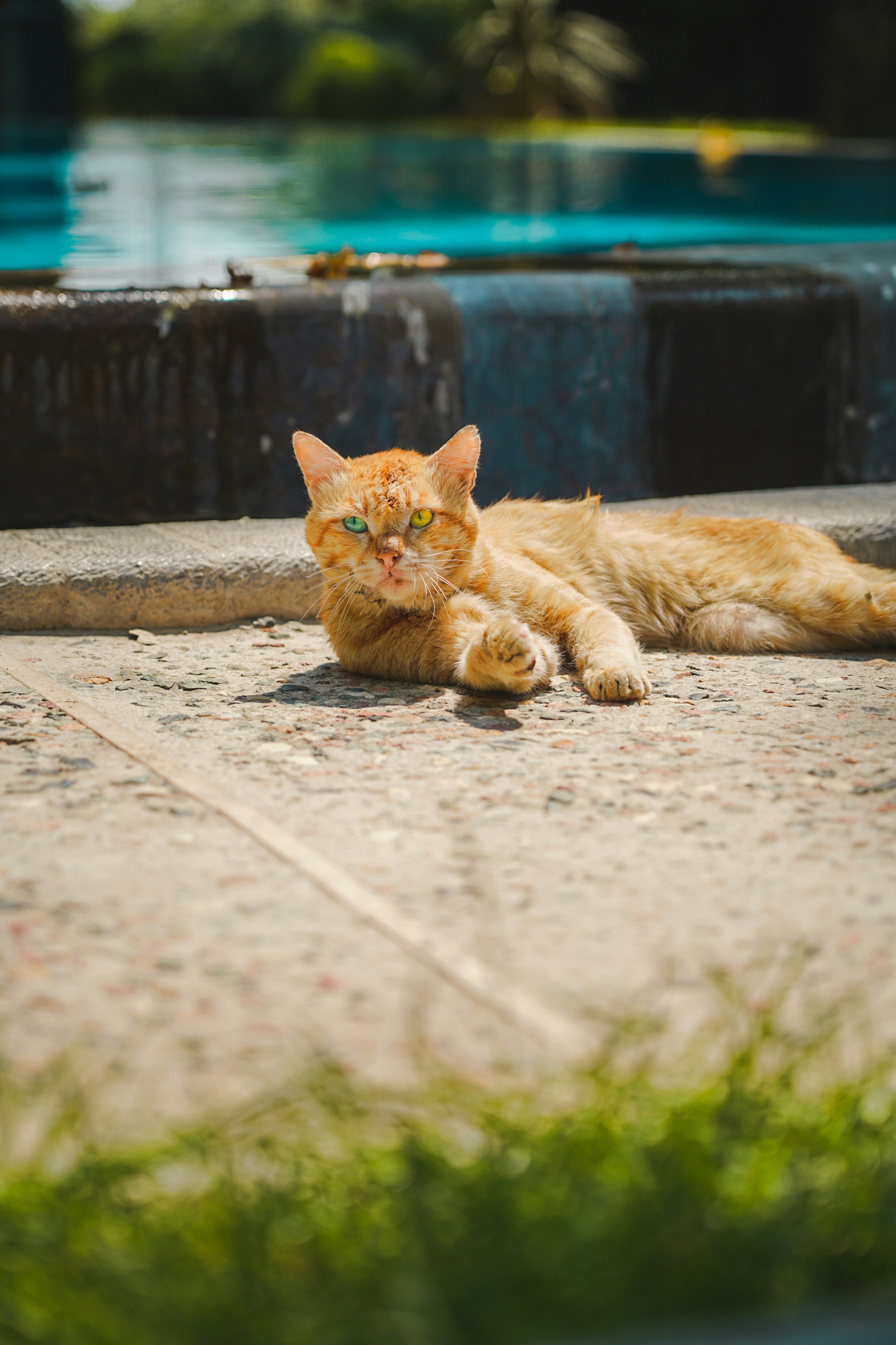 Photo by kiarash_mansouri