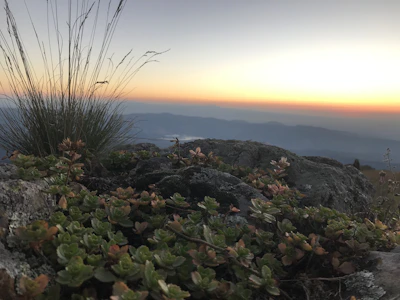 Sunset over a rehabilitated mining site with green vegetation starting to cover the land.