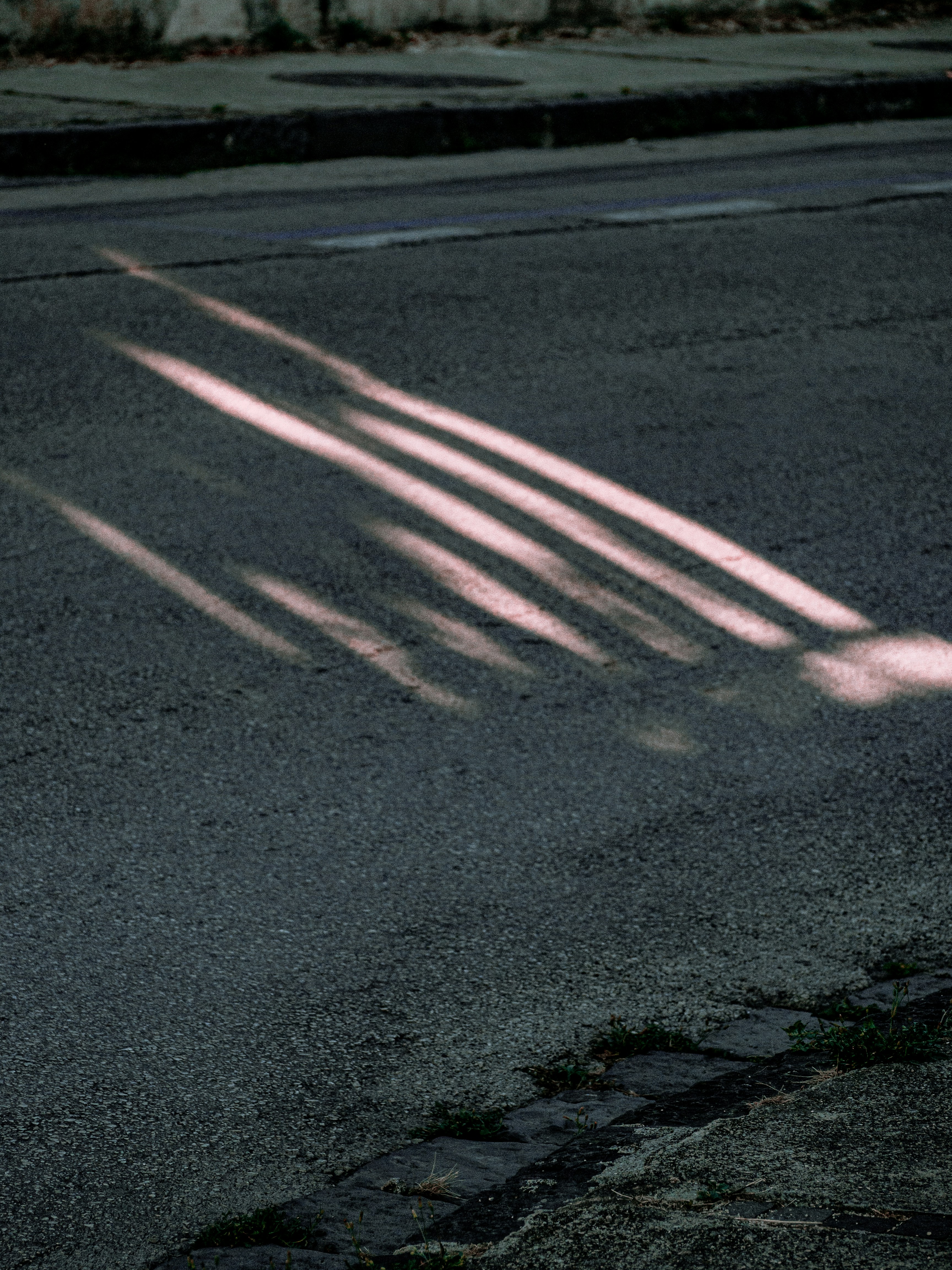 Photo by emilianovittoriosi