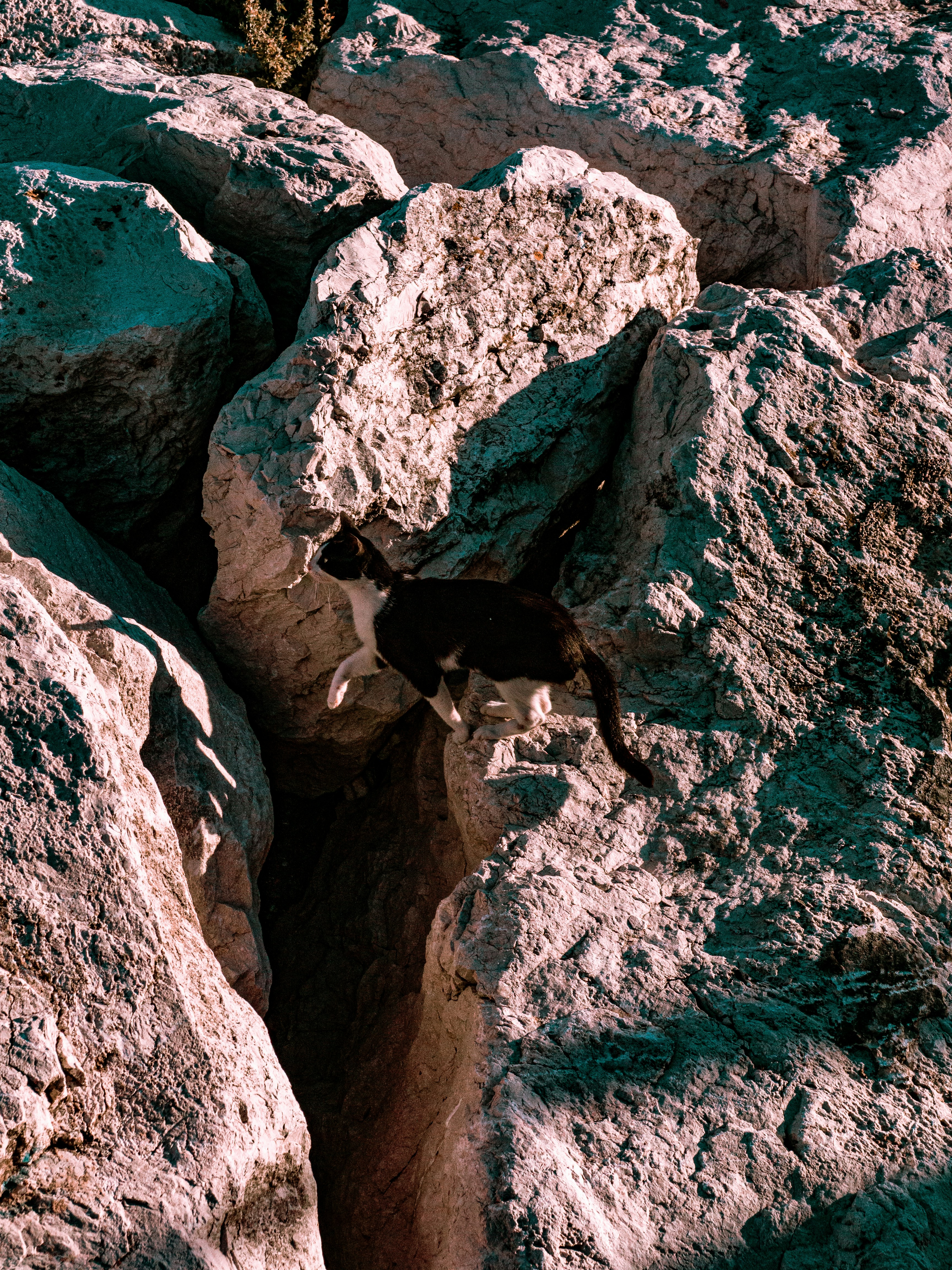 Photo by emilianovittoriosi